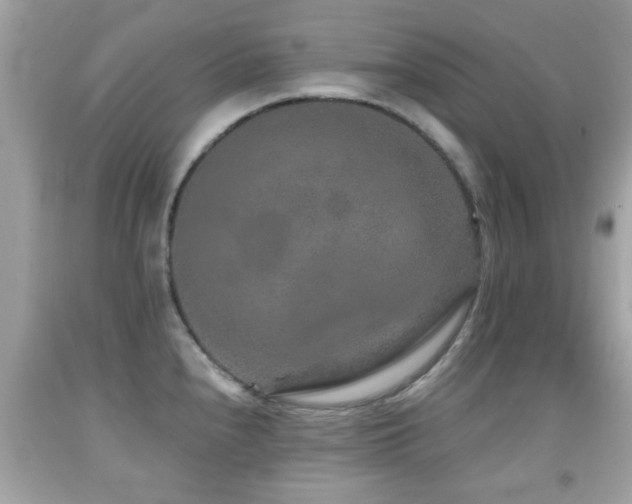 X0000092081240200709121438