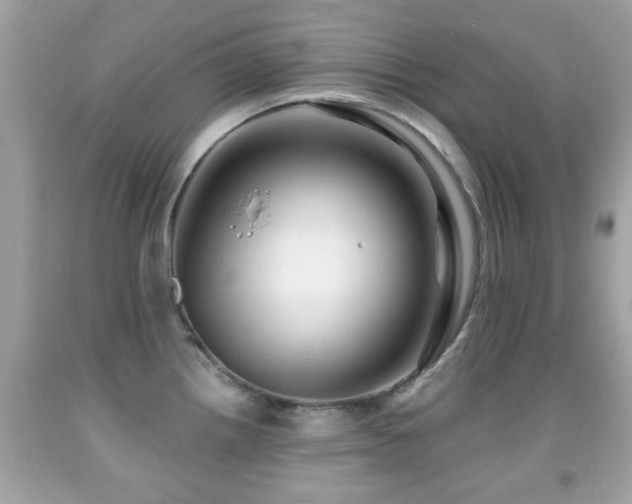 X0000092081242200709121438