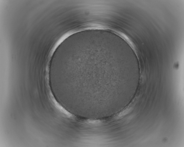 X0000092081243200709121438