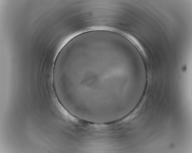 X0000092081244200709121438