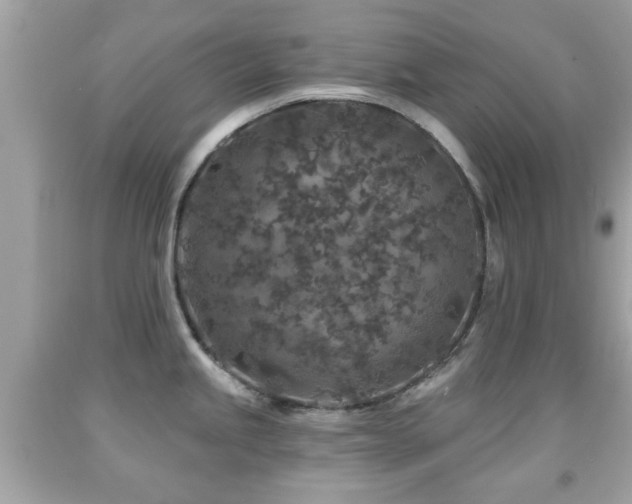 X0000092081245200709121438