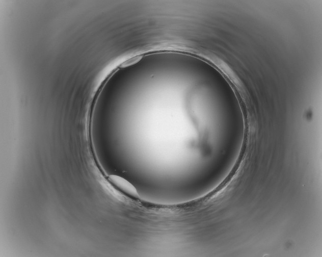 X0000092081246200709121438