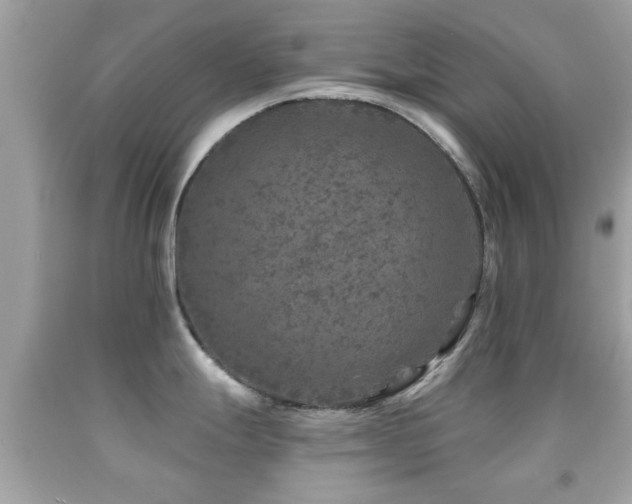 X0000092081247200709121438