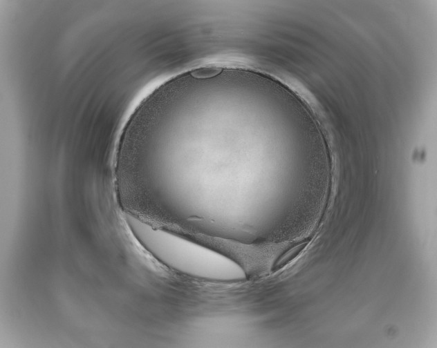 X0000092081248200709121438