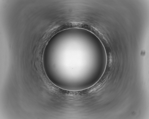 X0000092081249200709121437