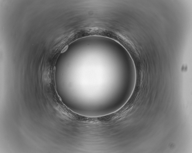 X0000092081250200709121437