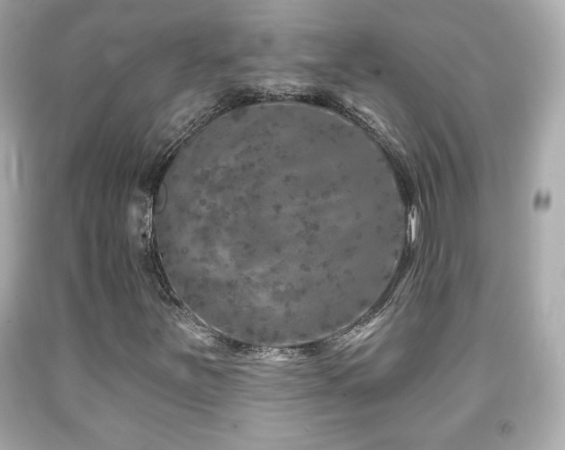 X0000092081251200709121437