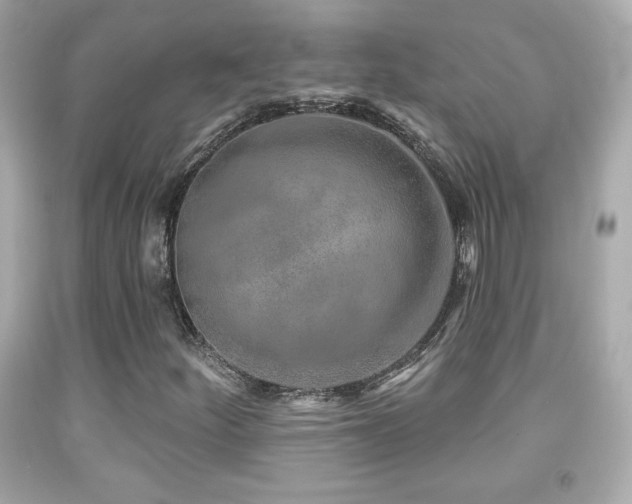 X0000092081252200709121437