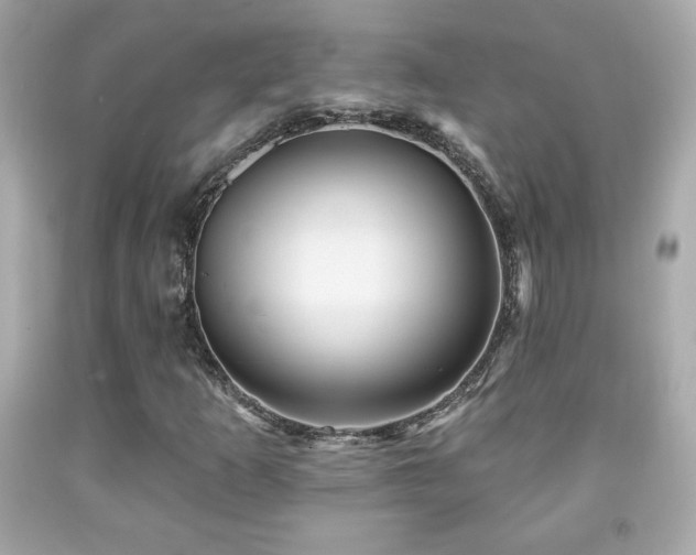 X0000092081253200709121437