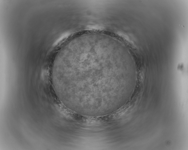 X0000092081254200709121437