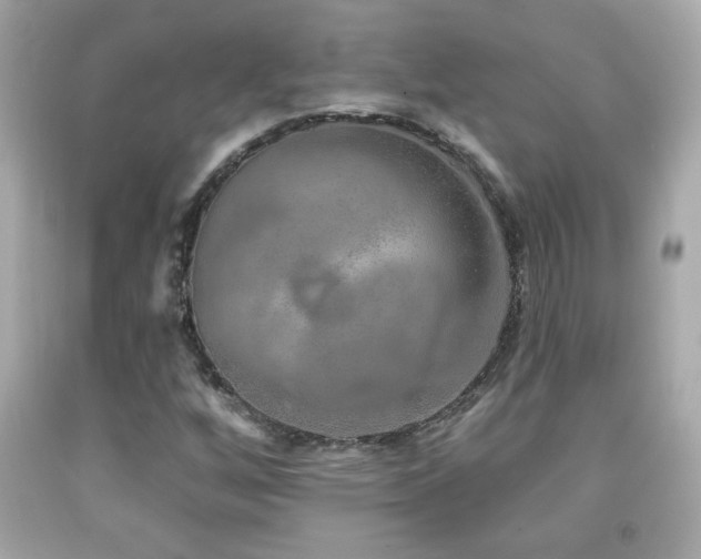 X0000092081256200709121437