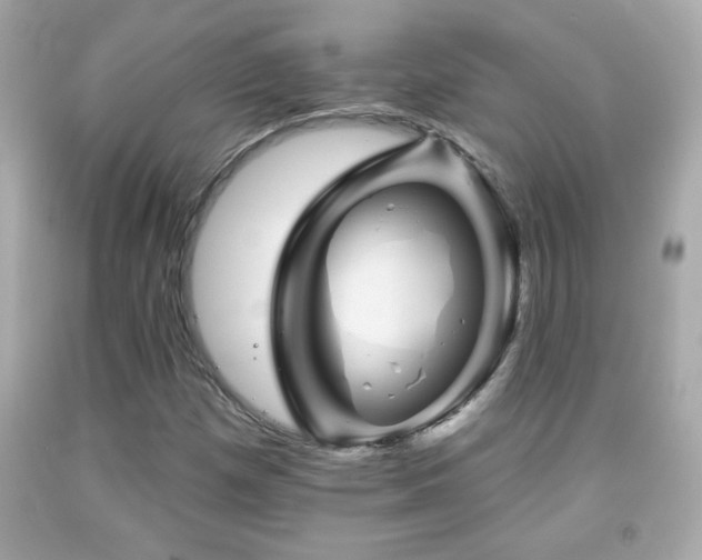 X0000092081257200709121437