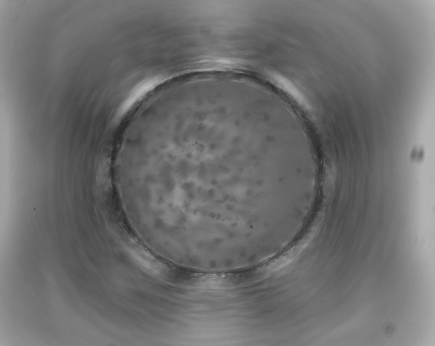X0000092081259200709121437