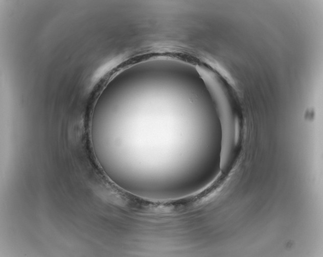 X0000092081261200709121437