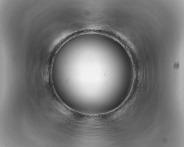 X0000092081262200709121437