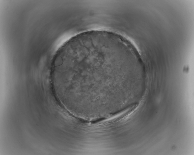 X0000092081263200709121437