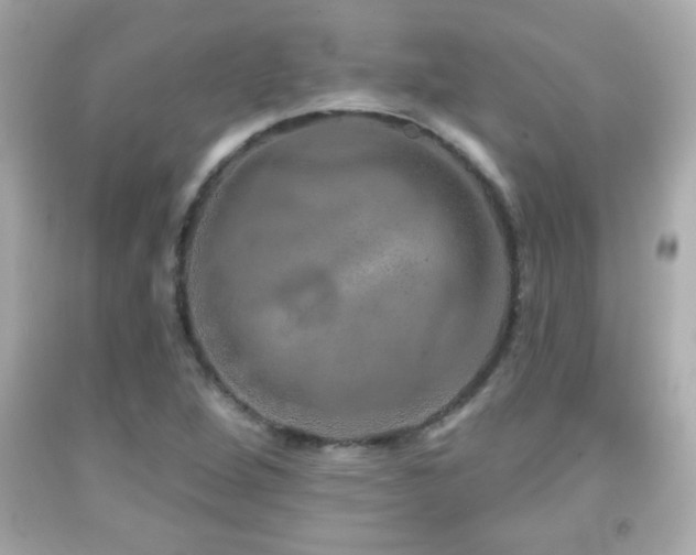X0000092081264200709121437