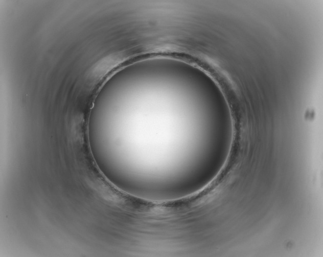 X0000092081265200709121437