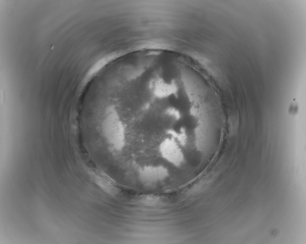 X0000092081266200709121437