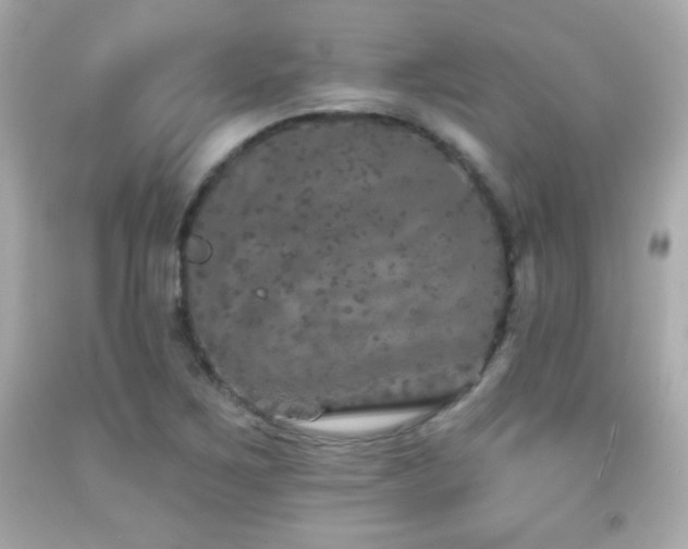X0000092081267200709121437