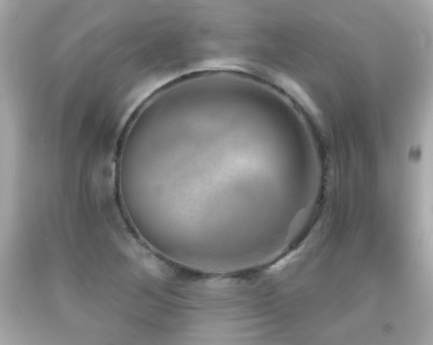 X0000092081268200709121437