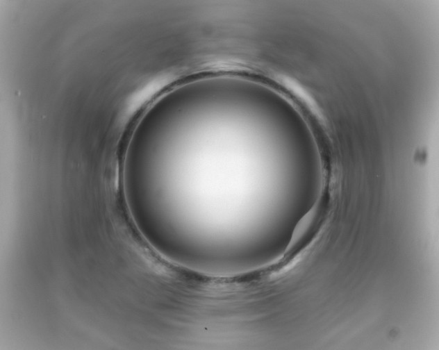 X0000092081269200709121437