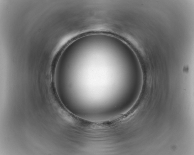 X0000092081270200709121437