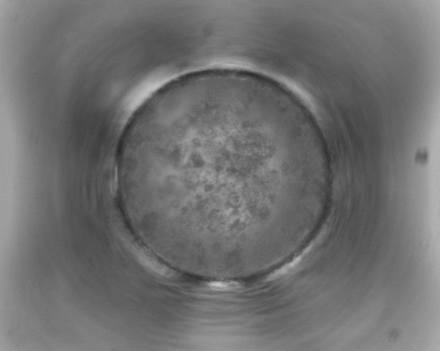 X0000092081271200709121437