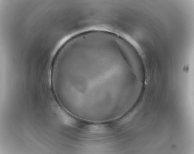 X0000092081272200709121437