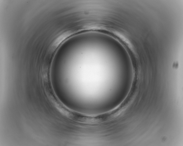 X0000092081273200709121437