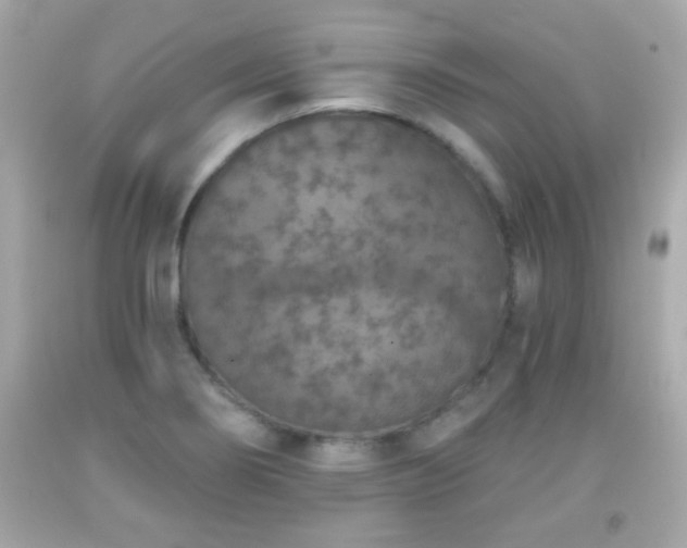 X0000092081274200709121437