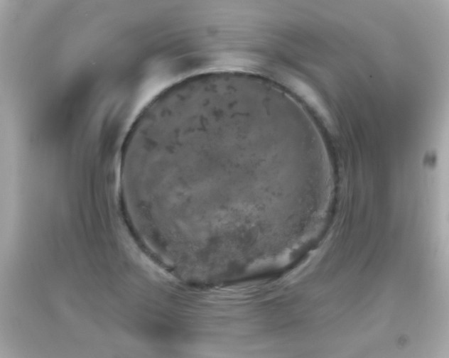 X0000092081275200709121437