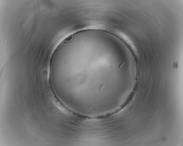 X0000092081276200709121437