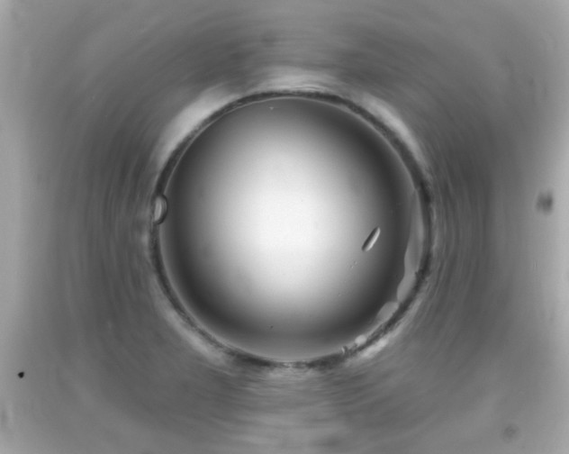 X0000092081277200709121437