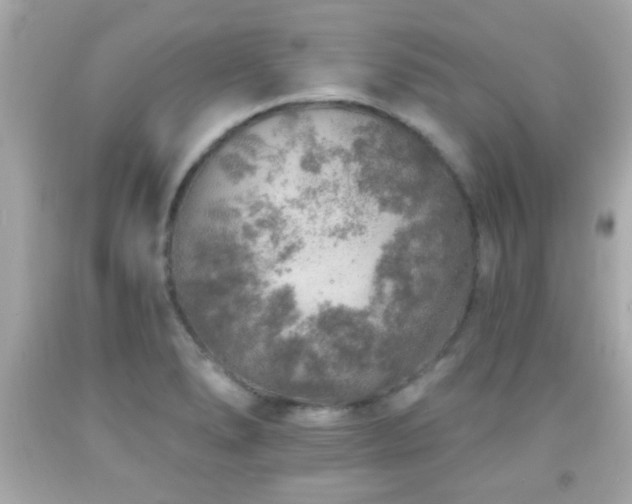 X0000092081278200709121437