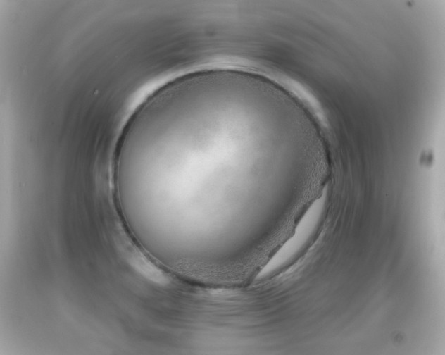 X0000092081280200709121437