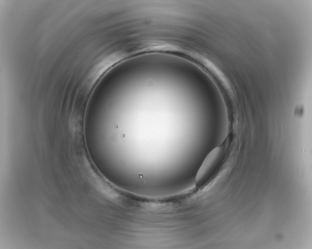 X0000092081281200709121437