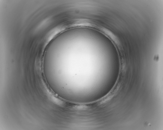 X0000092081282200709121437