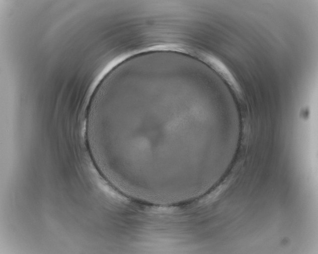 X0000092081284200709121437
