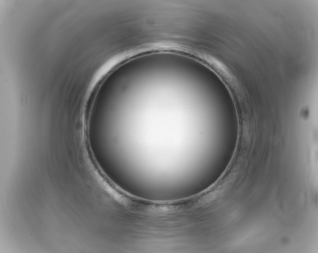 X0000092081286200709121437
