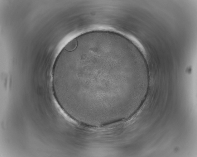 X0000092081287200709121437