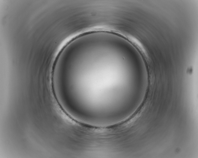 X0000092081288200709121437