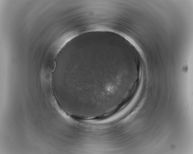 X0000092081289200709121437