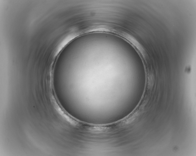 X0000092081290200709121437
