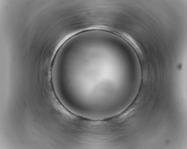 X0000092081292200709121437