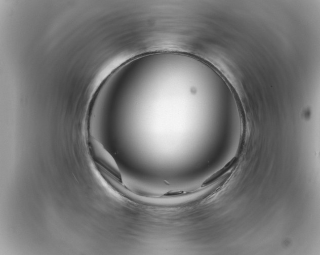 X0000092081293200709121437