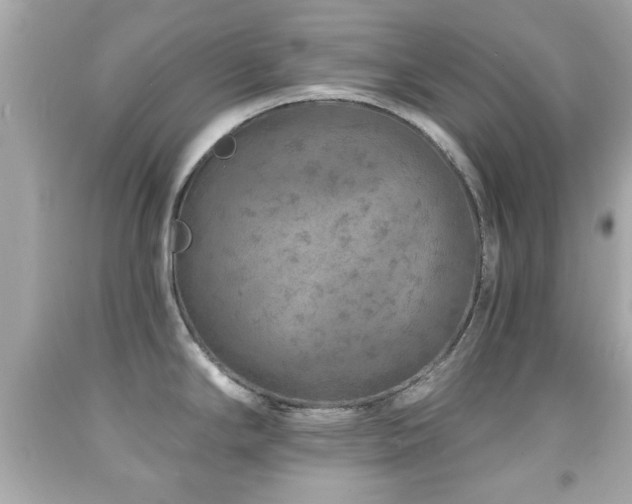 X0000092081294200709121437