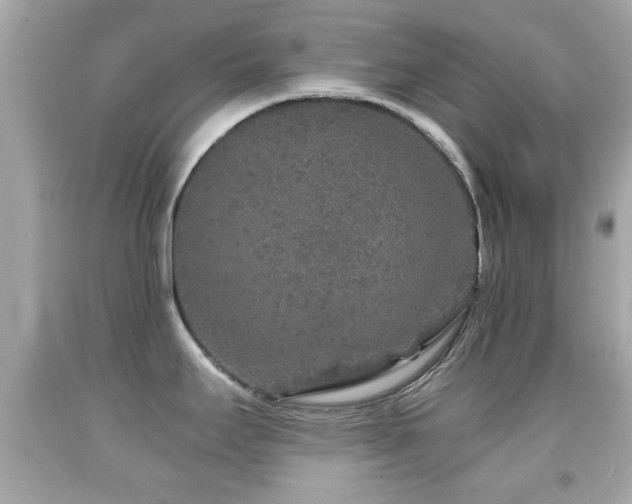 X0000092081295200709121436
