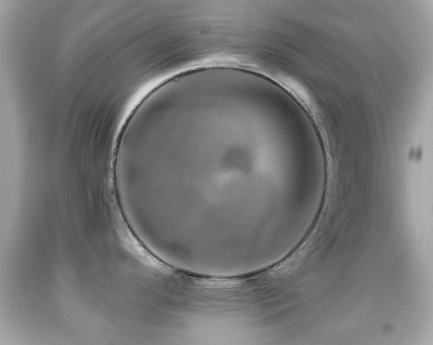 X0000092081296200709121436