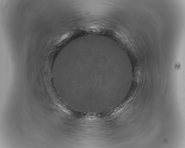 X0000092081297200709121436